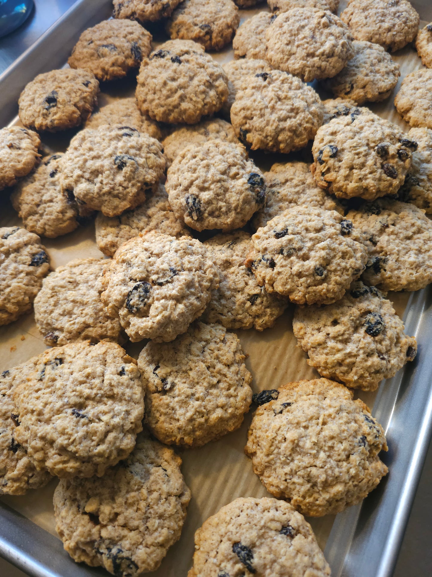 Oatmeal Raisin Cookies
