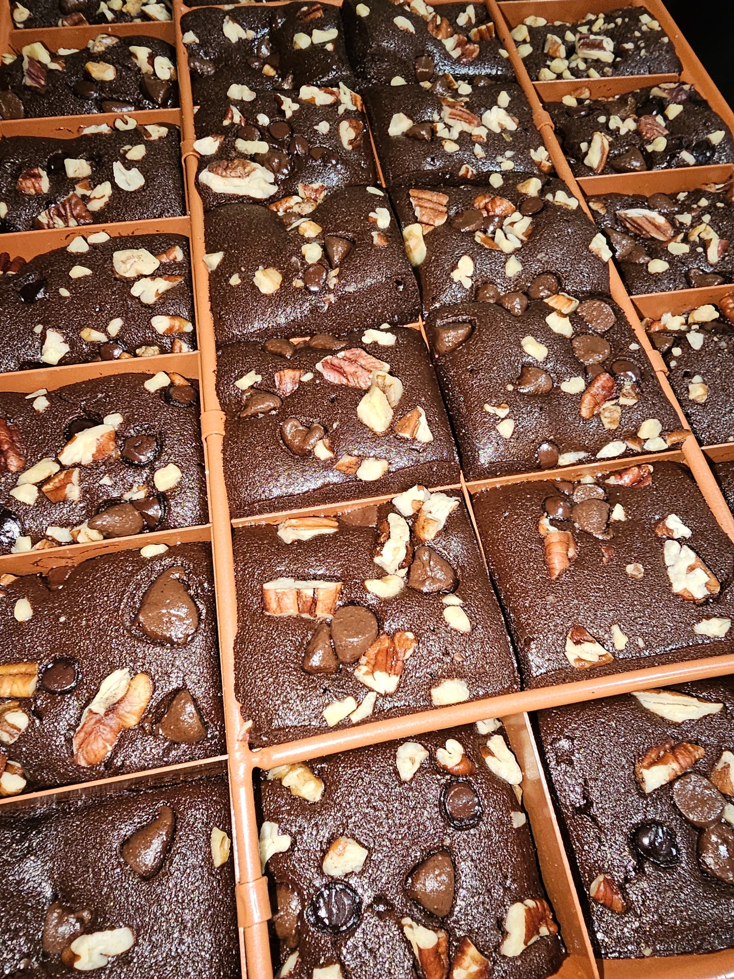 Fudgey Brownies (Flourless)